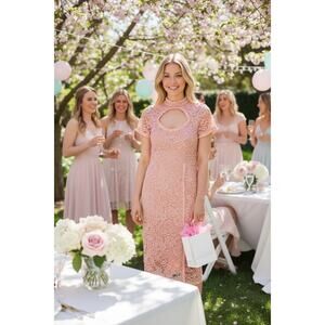 NWT ALEXIS DRESS PINK BLUSH FLORAL LACE COQUETTE EMBROIDERED RUFFLE COCKTAIL